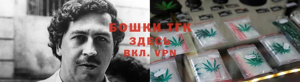 мет Арсеньев