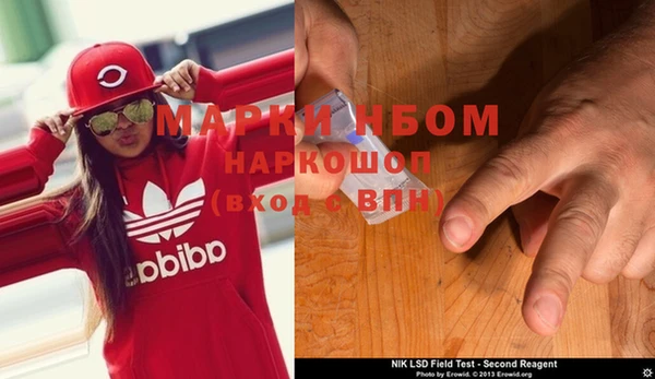 стафф Иннополис