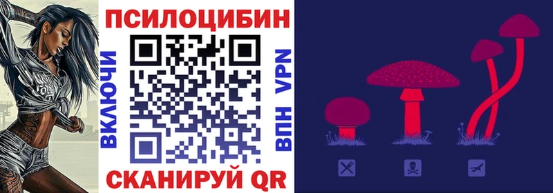 мега онион  Глазов  Псилоцибиновые грибы Cubensis 